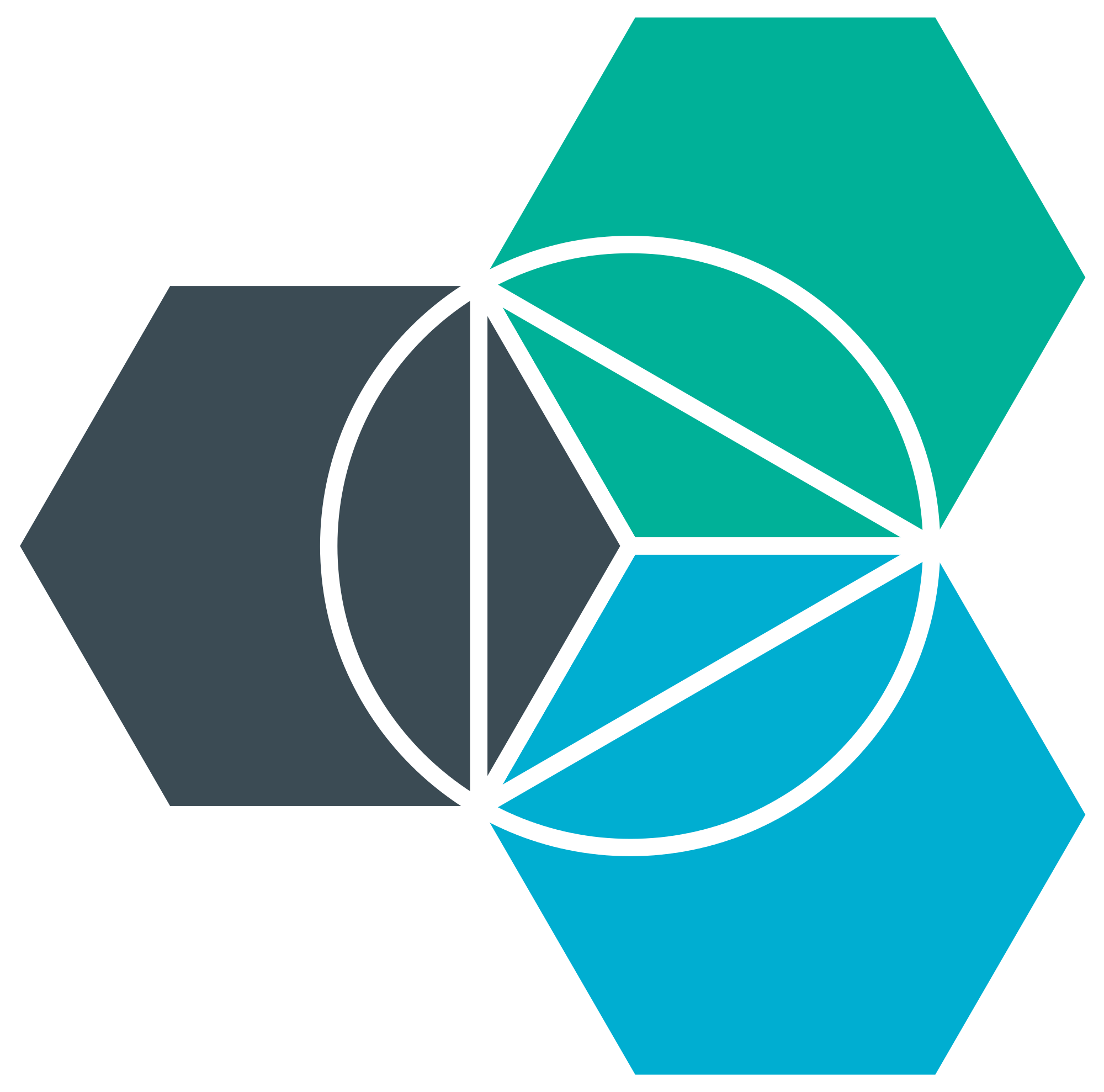 Bluemix Logo